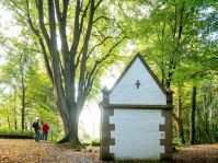 Wallfahrtsgelände bei Lichtenau-Kleinenberg © Teutoburger Wald Tourismus / Dominik Ketz